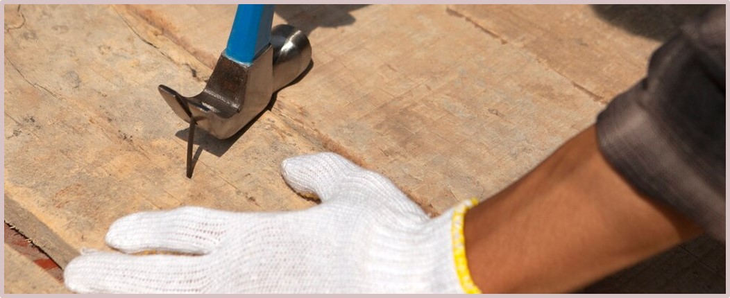 Privilege and Responsibility, Section 05 splash image