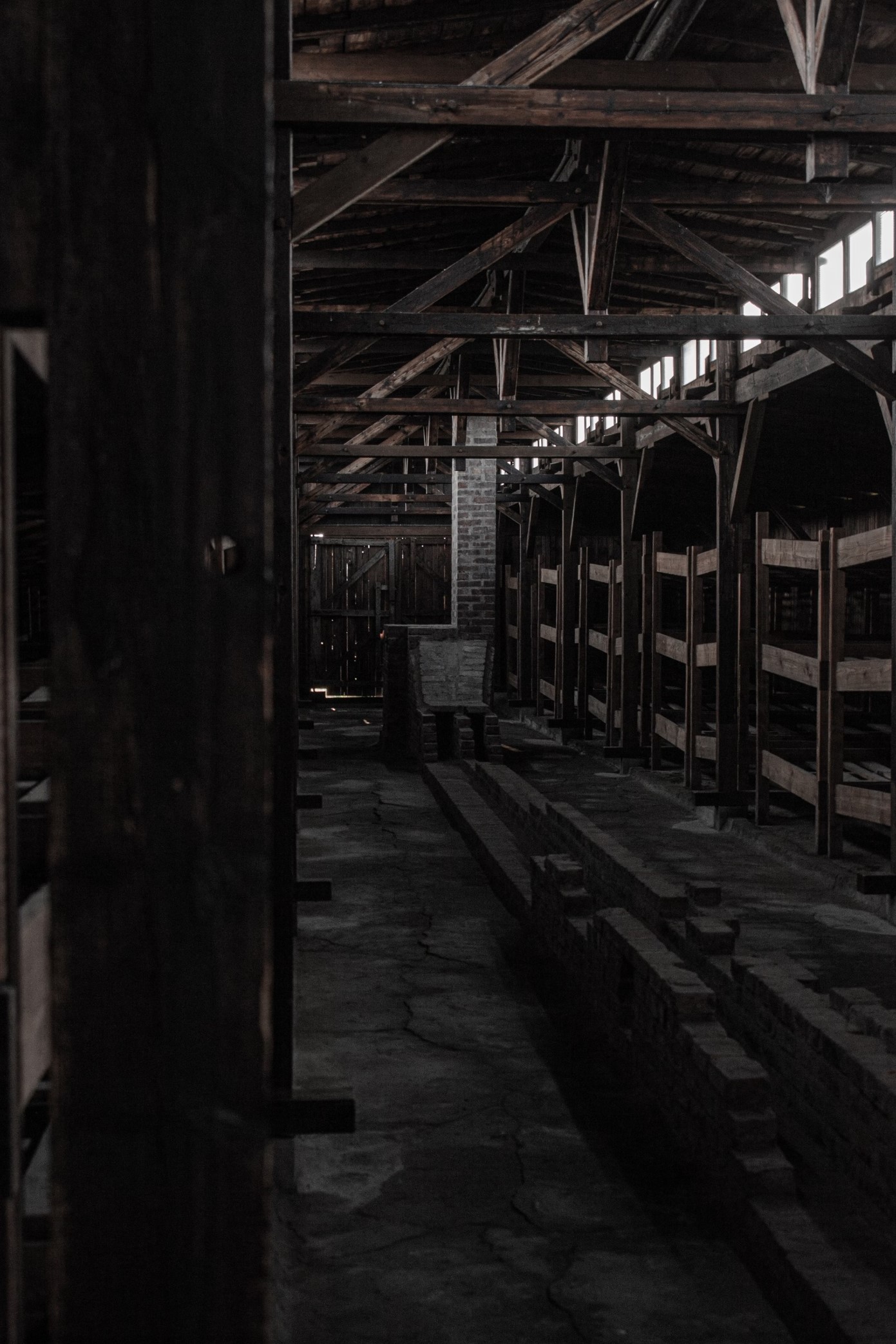 Are We the Cows of Bashan?, Section 03 splash image