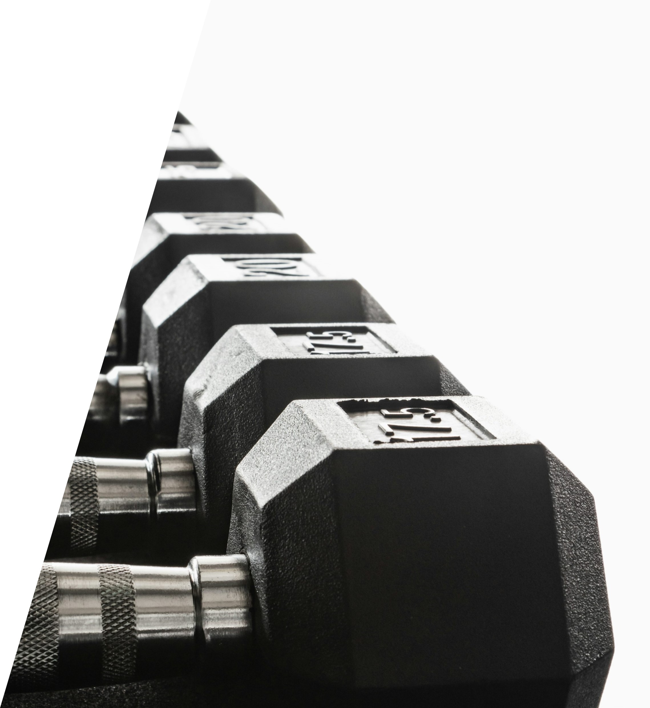 Prepare to Meet Your God, Section 01 splash image