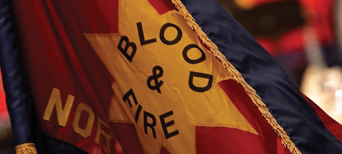 Seek ME and live, Section 05 splash image