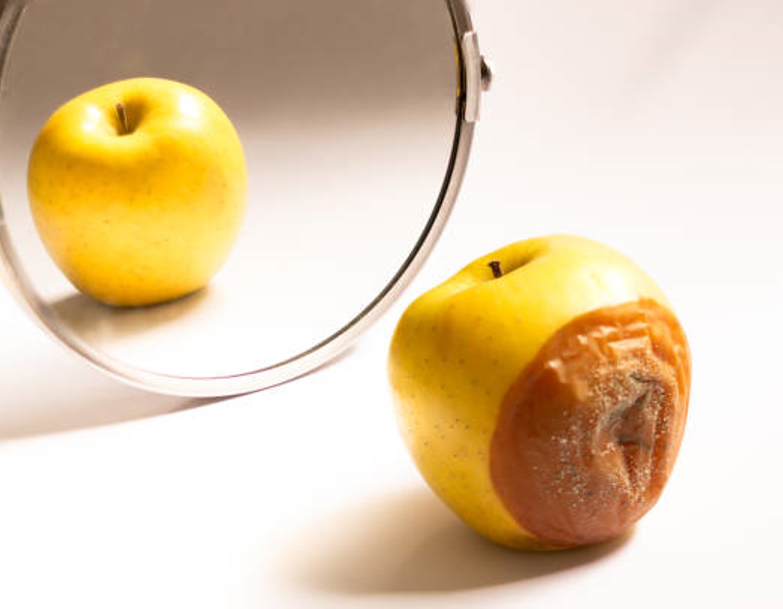 David’s Harp or Jeroboam’s Idol, Section 03 splash image