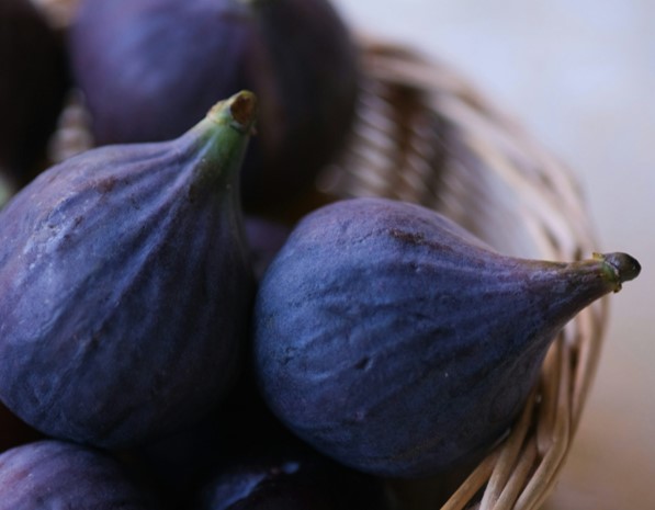 Sweet or Spoiled? splash image