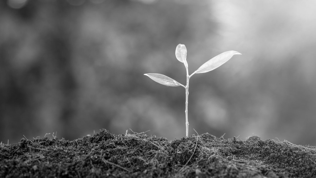 Sweet or Spoiled?, Section 01 splash image