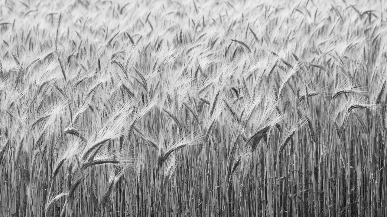 Sweet or Spoiled?, Section 02 splash image