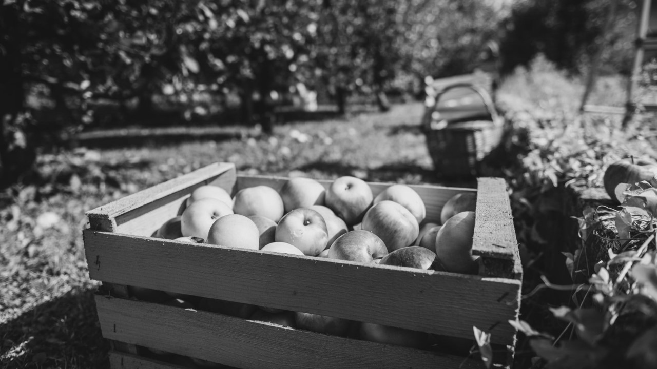 Sweet or Spoiled?, Section 03 splash image