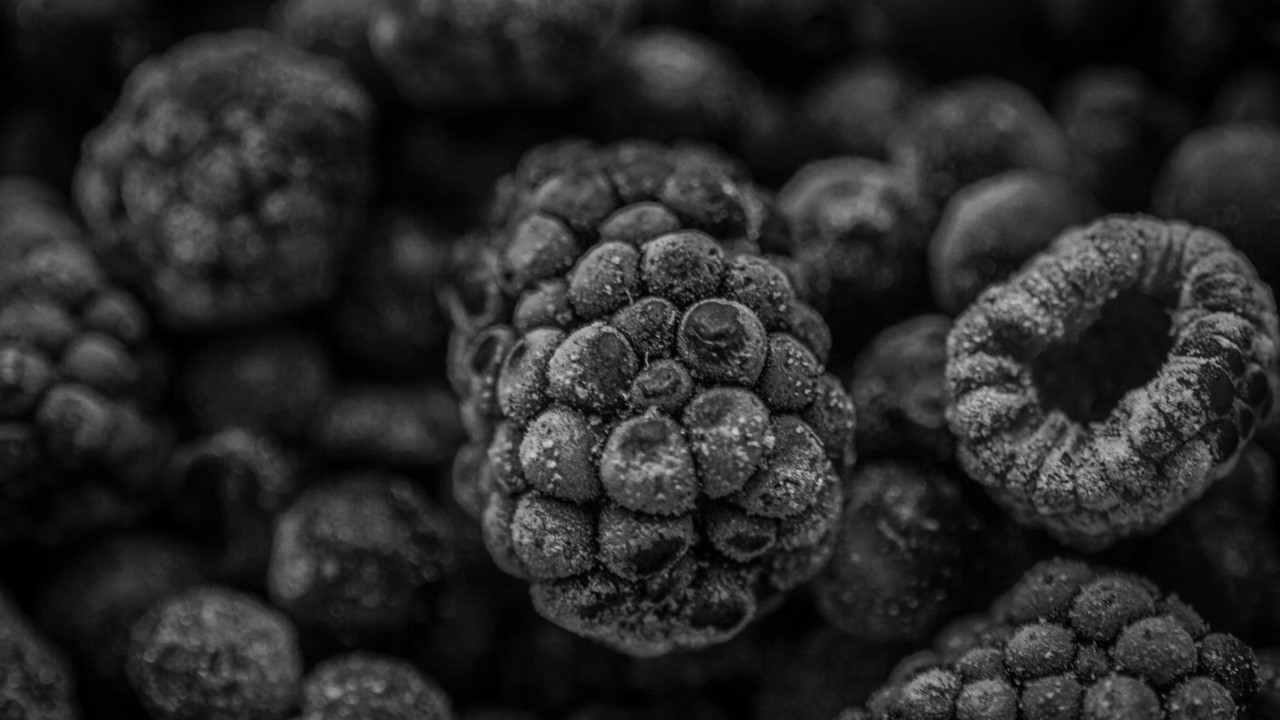 Sweet or Spoiled?, Section 04 splash image