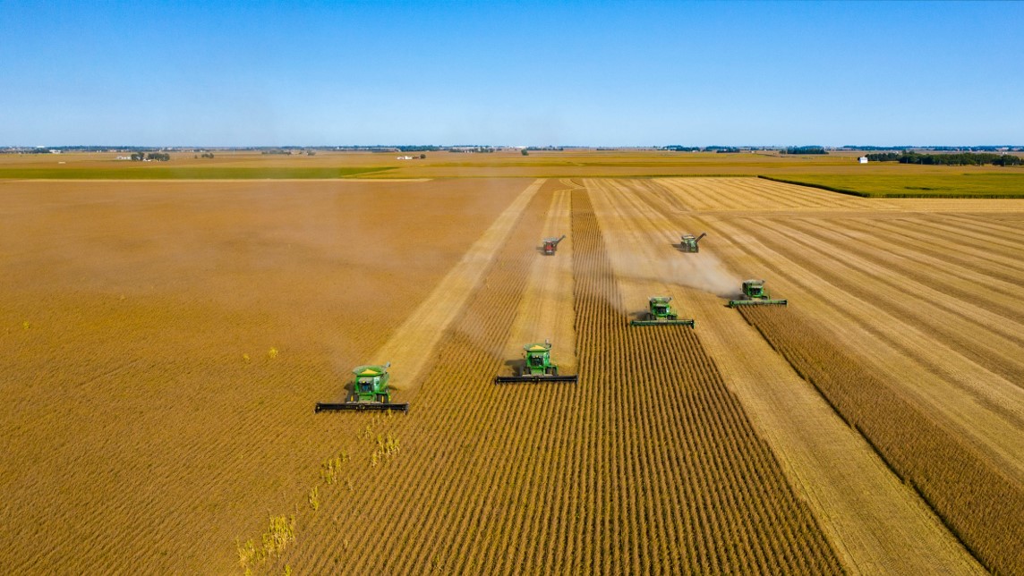 Replanted, Section 03 splash image