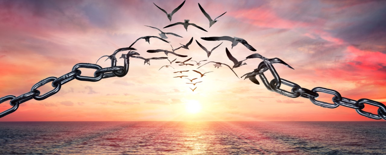 King of Glory, Section 02 splash image